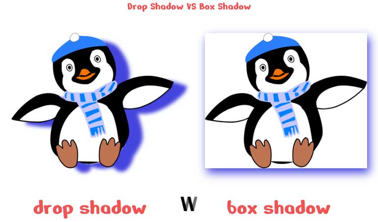 Drop Shadow ve Box Shadow