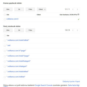 Google Özel Arama - Panel ayarlar
