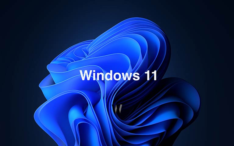 Windows 11 - memesis