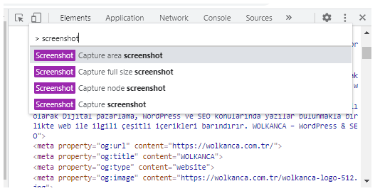 Chrome Screenshot Specific Element