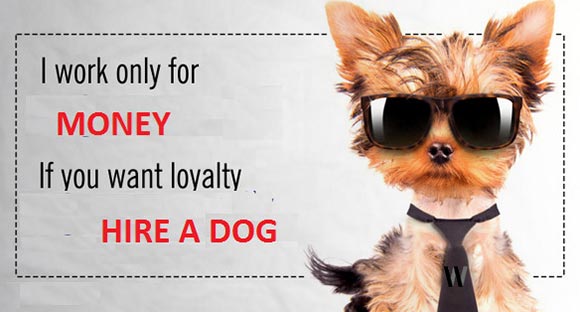 I work for money - if you want loyalty, hire a dog