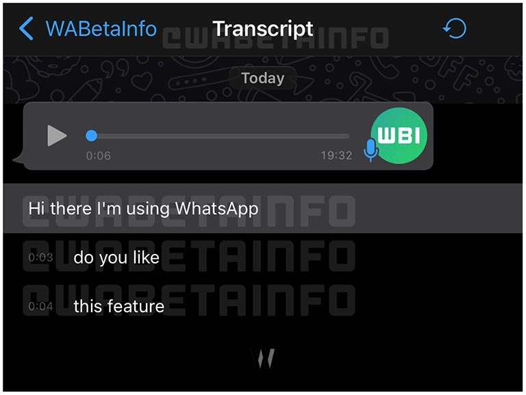 wa-transcript-voice-message-ios